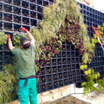 DIY Verde: Construye Tu Propio Jardín Vertical en Casa
